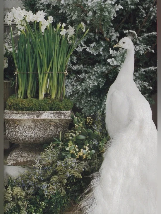 RARE White Peacock Lily by D.S. & Durga 50ml like new, discontinued - Picture 15 of 15